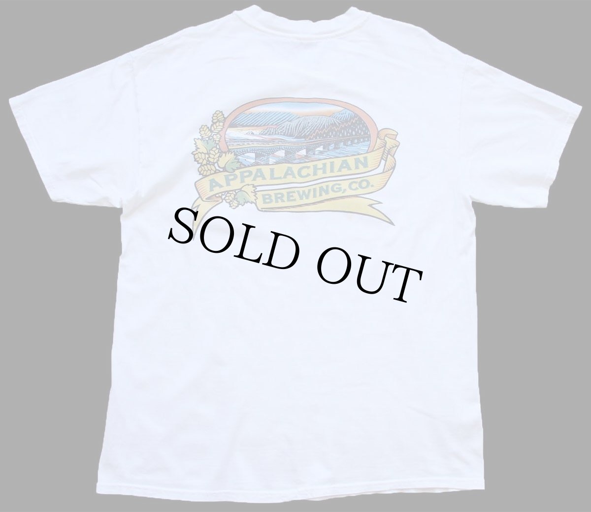 画像3: 90s Hanes APPALACHIAN BREWING,CO. ABC NOTABLY FRESH ポケット付き コットンTシャツ 白 L (3)