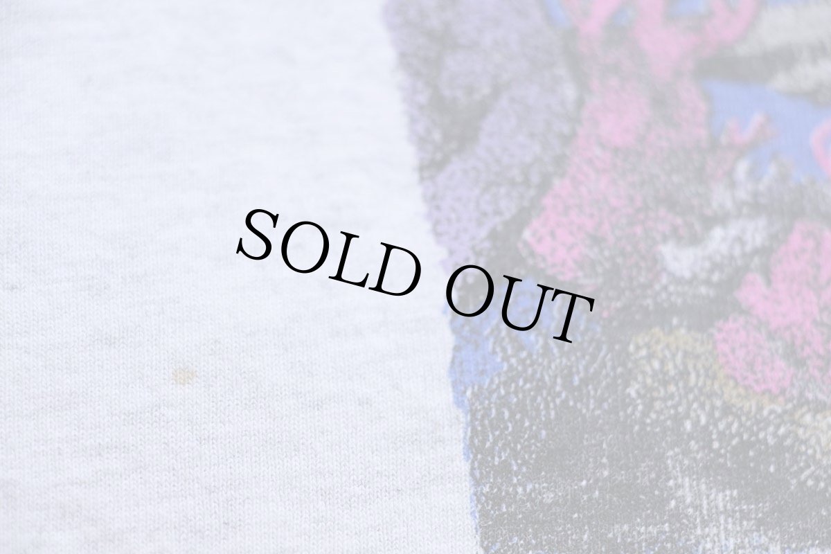 画像5: 90s USA製 SEA WORLD FOCUS ON THE FUTURE 両面プリント アート コットンTシャツ 杢グレー L (5)