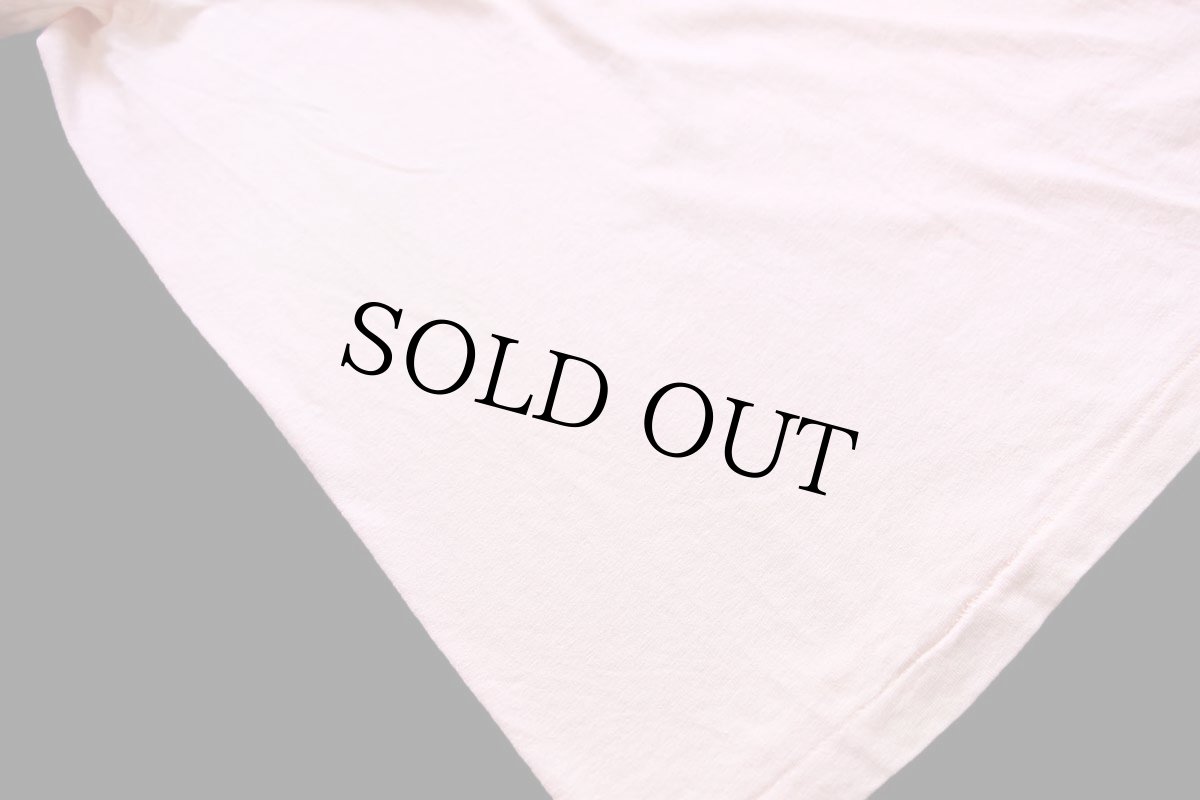 画像6: 80s USA製 Hanes TEXAS サボテン ウルフ カウスカル フラワー アート コットンTシャツ 薄ピンク XL (6)