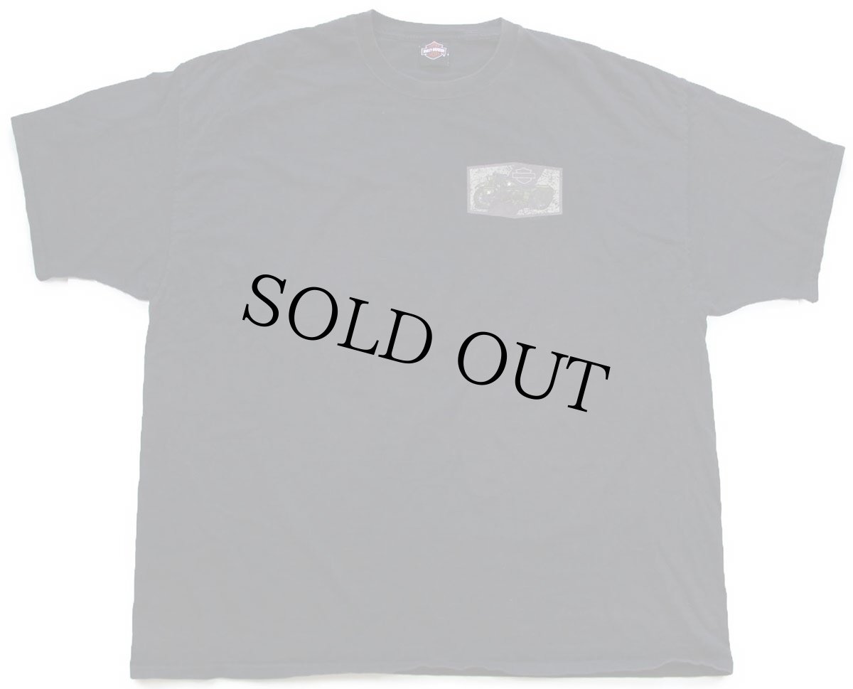 画像2: HARLEY-DAVIDSON ハーレー ダビッドソン ミリタリーカスタム REDSTONE 両面プリント コットンTシャツ 黒 3XL★特大 (2)