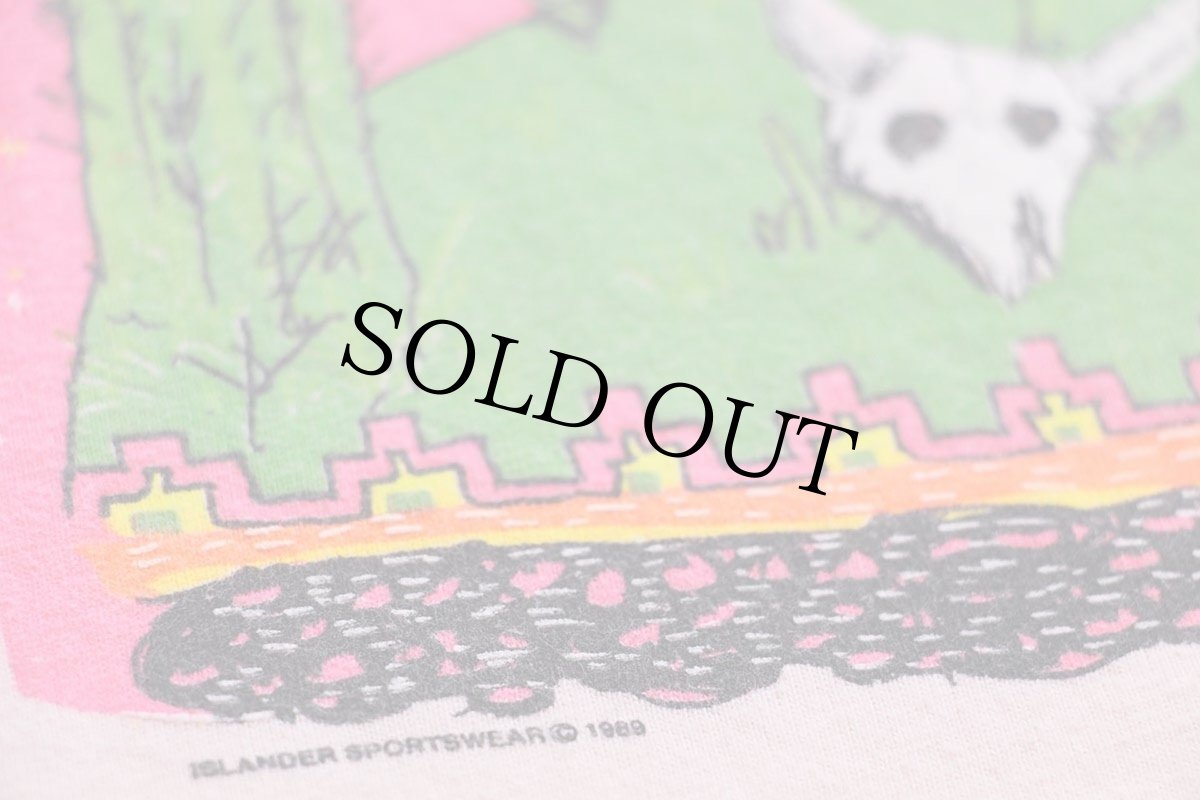 画像4: 80s USA製 Hanes TEXAS サボテン ウルフ カウスカル フラワー アート コットンTシャツ 薄ピンク XL (4)