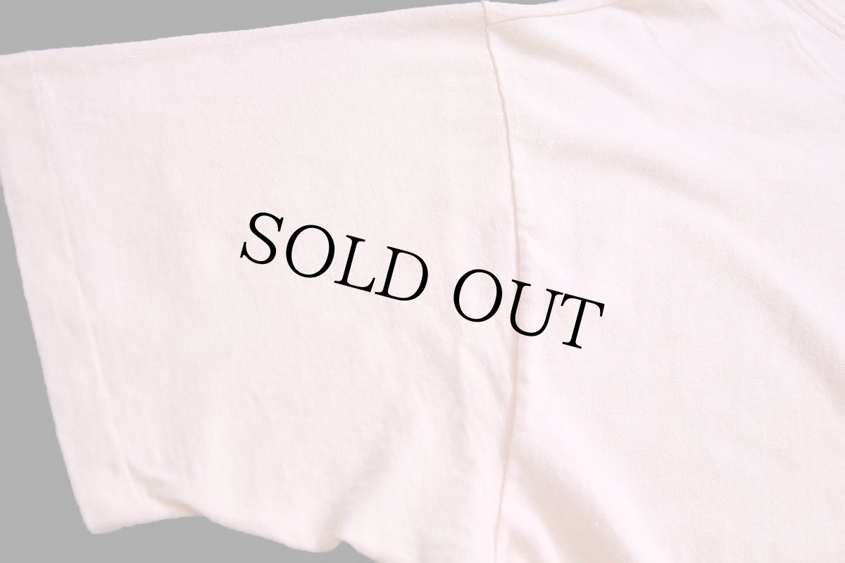 画像7: 80s USA製 Hanes TEXAS サボテン ウルフ カウスカル フラワー アート コットンTシャツ 薄ピンク XL (7)