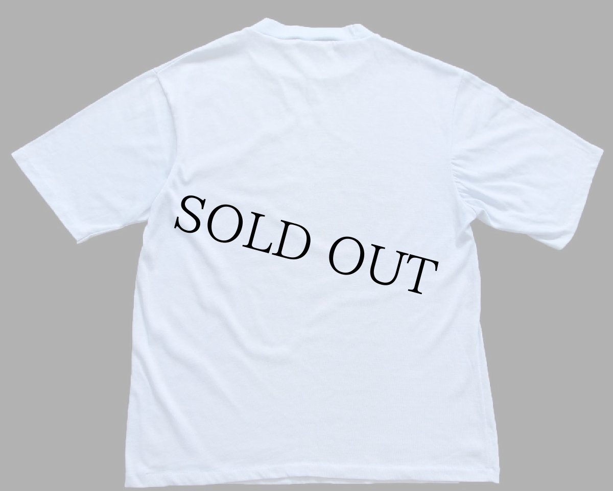 画像3: 80s NFL DETROIT LIONS アメフト 染み込みプリント Tシャツ 水色 L (3)