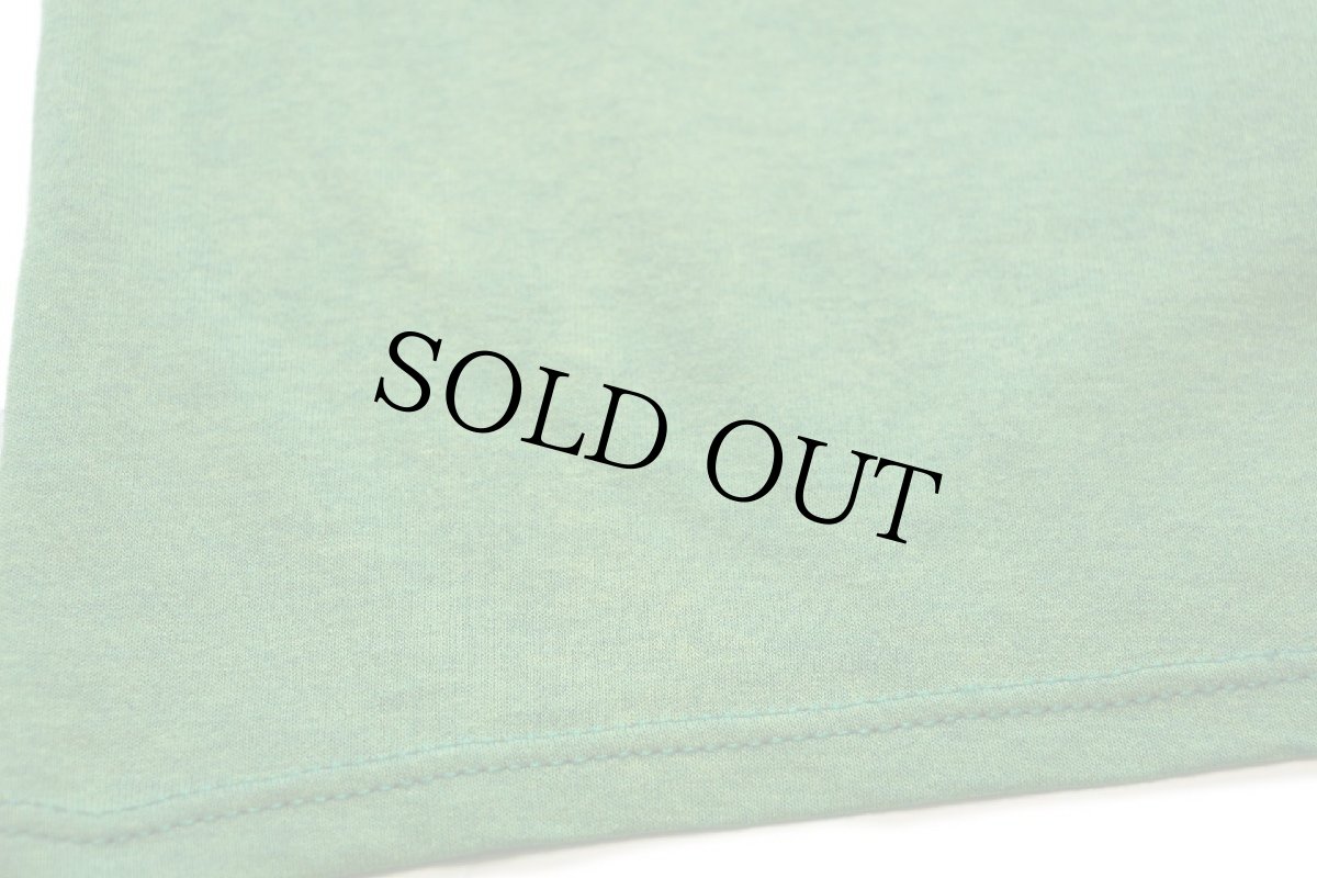 画像5: 90s USA製 MICHAEL WATERS MEMORIAL LEAGUE ブルドッグ マスコット ひび割れプリント Tシャツ 黄緑 XL (5)