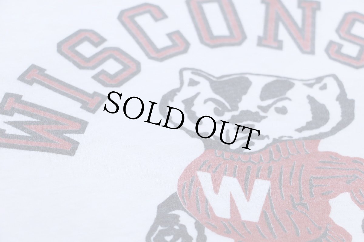 画像4: 80s WISCONSIN バッキー マスコット 染み込みプリント Tシャツ 白 (4)