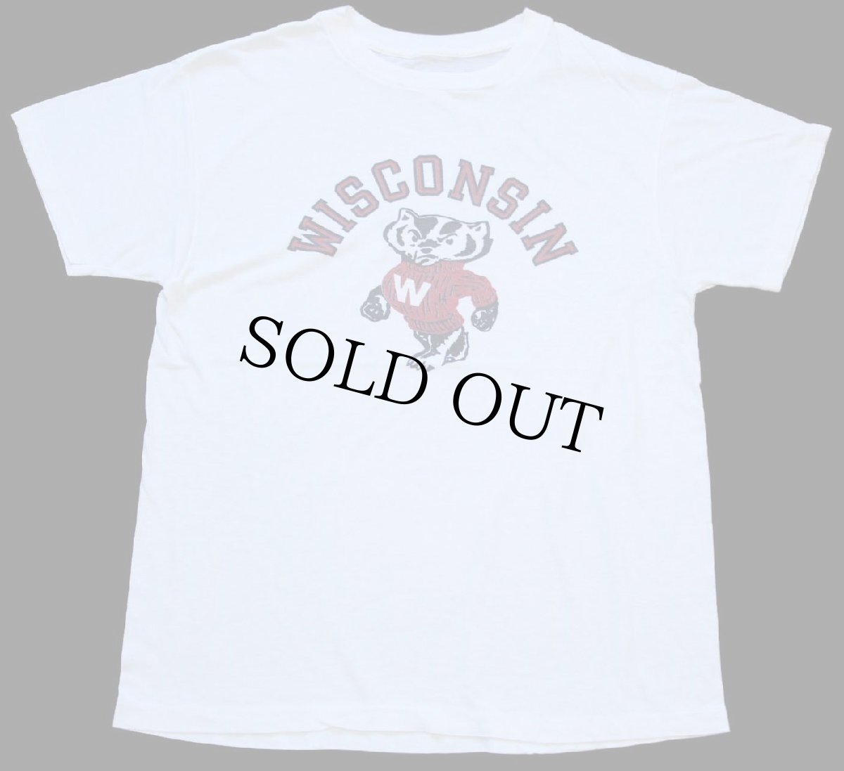 画像2: 80s WISCONSIN バッキー マスコット 染み込みプリント Tシャツ 白 (2)