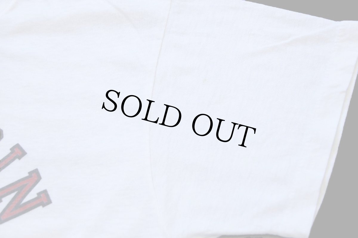 画像6: 80s WISCONSIN バッキー マスコット 染み込みプリント Tシャツ 白 (6)