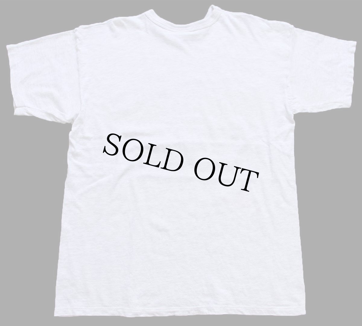 画像3: 90s USA製 Championチャンピオン SOUTH CAROLINA Tシャツ 杢ライトグレー XL (3)