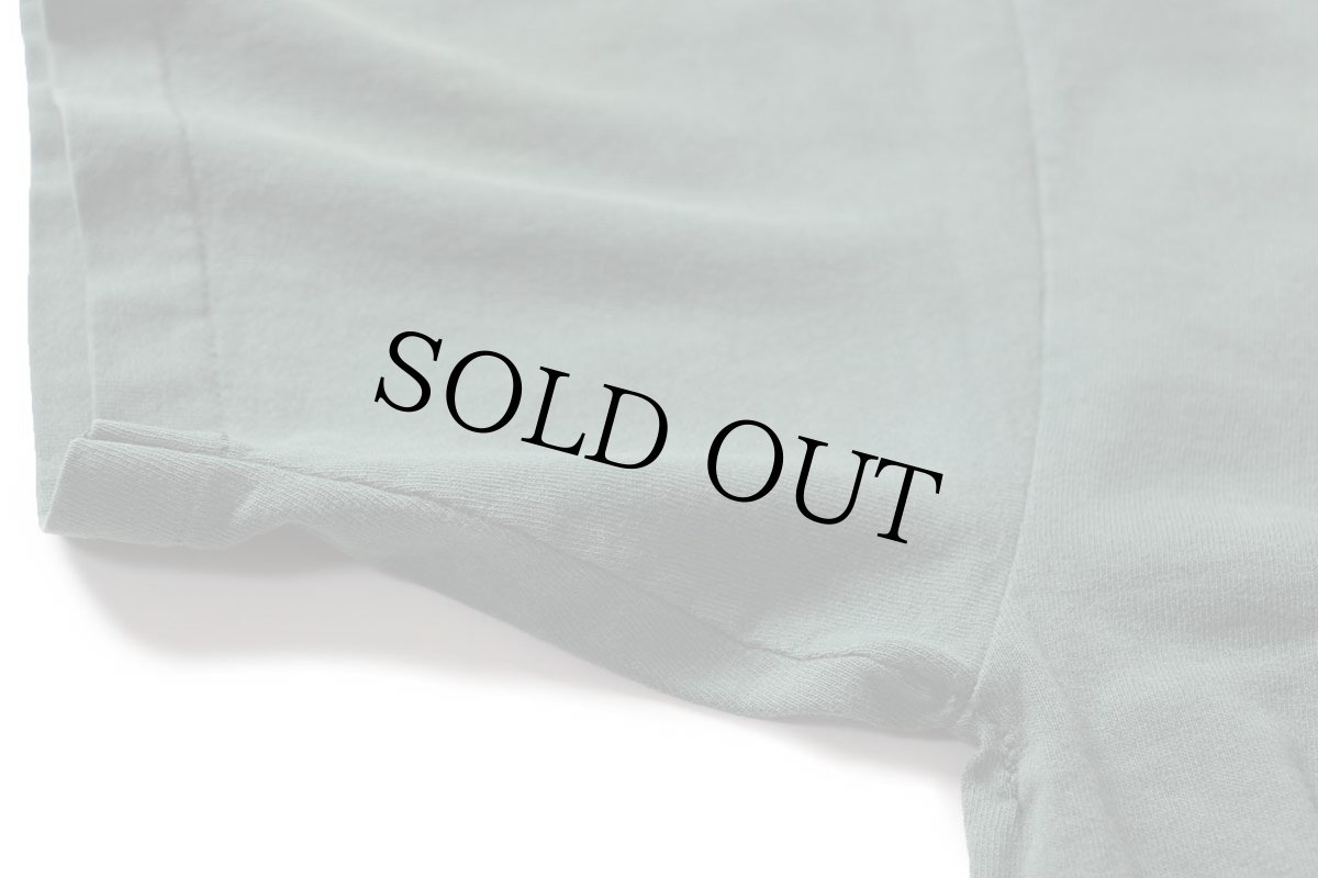 画像6: 90s USA製 HERSHEY'Sハーシーズ チョコレート ロゴ CHOCOLATE TOWN PENNSYLVANIA コットンTシャツ 緑 フェード M (6)