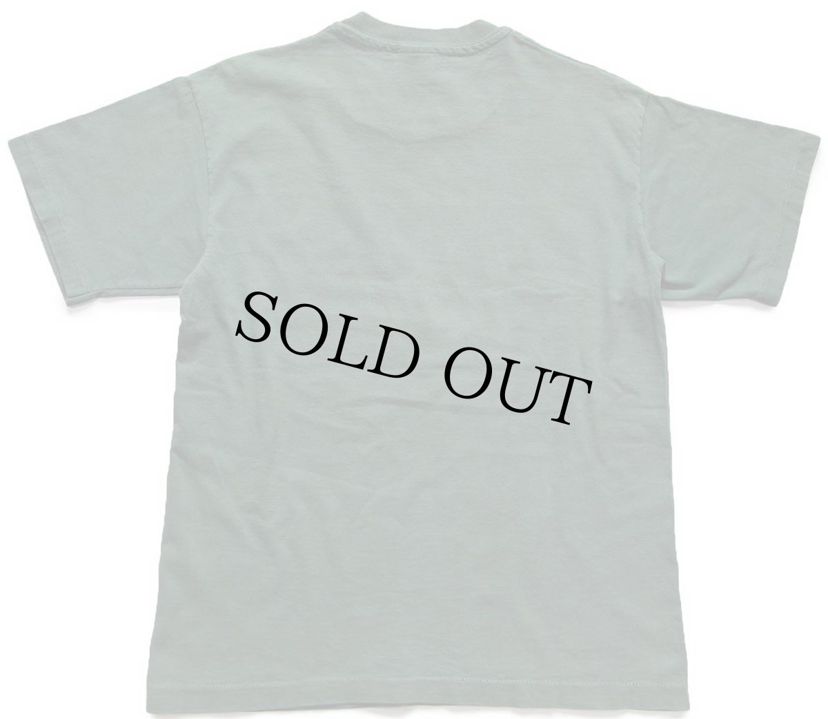 画像3: 90s USA製 HERSHEY'Sハーシーズ チョコレート ロゴ CHOCOLATE TOWN PENNSYLVANIA コットンTシャツ 緑 フェード M (3)