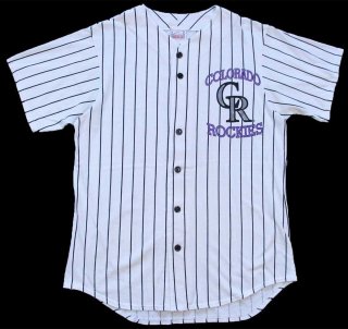 80s USA製 FIELD OF DREAMS ピンストライプ コットン ベース