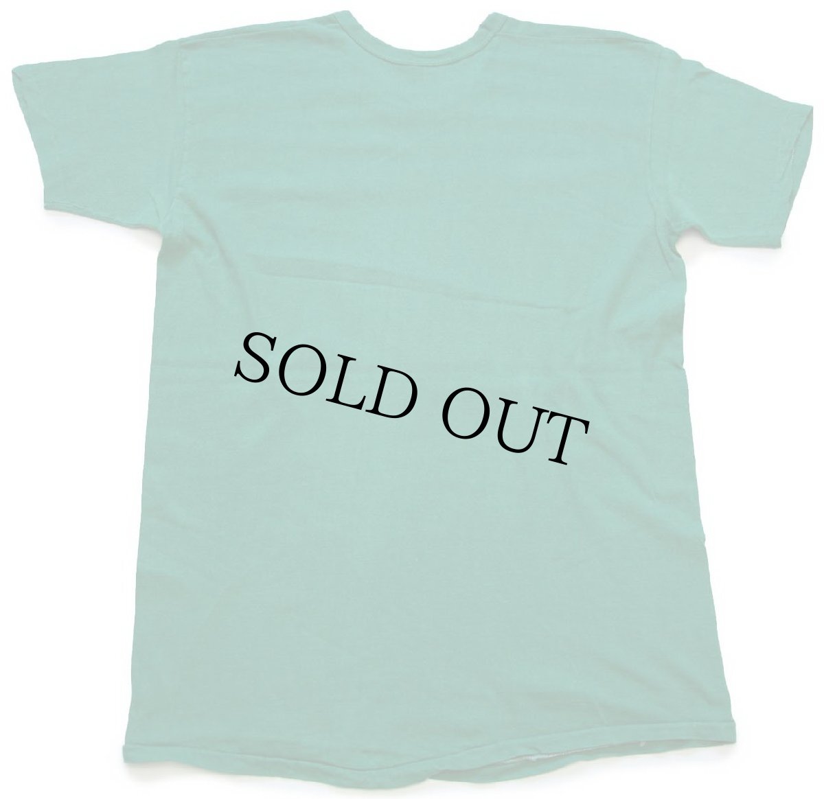 画像3: 70s USA製 RUSSELLラッセル Guardsmen Angel Island Race 1977 ウイングフット コットンTシャツ 緑 L (3)