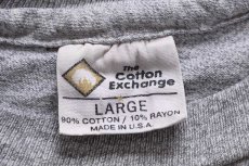 画像5: 90s USA製 The Cotton Exchange WILLIAMS COLLEGE コットン×レーヨン Tシャツ 杢グレー L (5)
