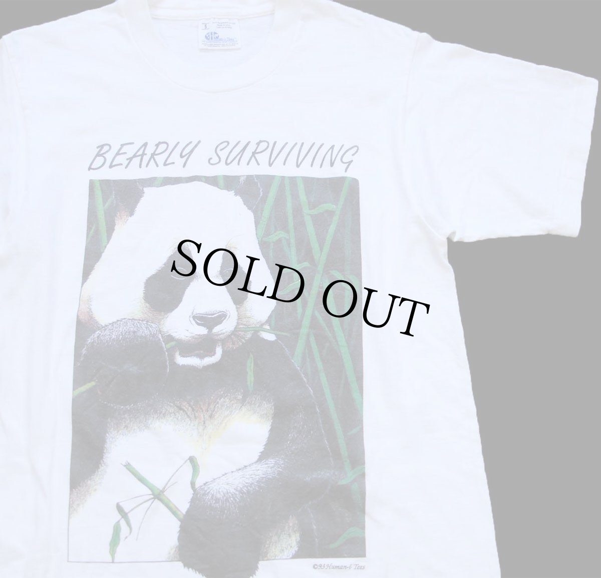 画像1: 90s USA製 BEARLY SURVIVING パンダ コットンTシャツ 白 S (1)