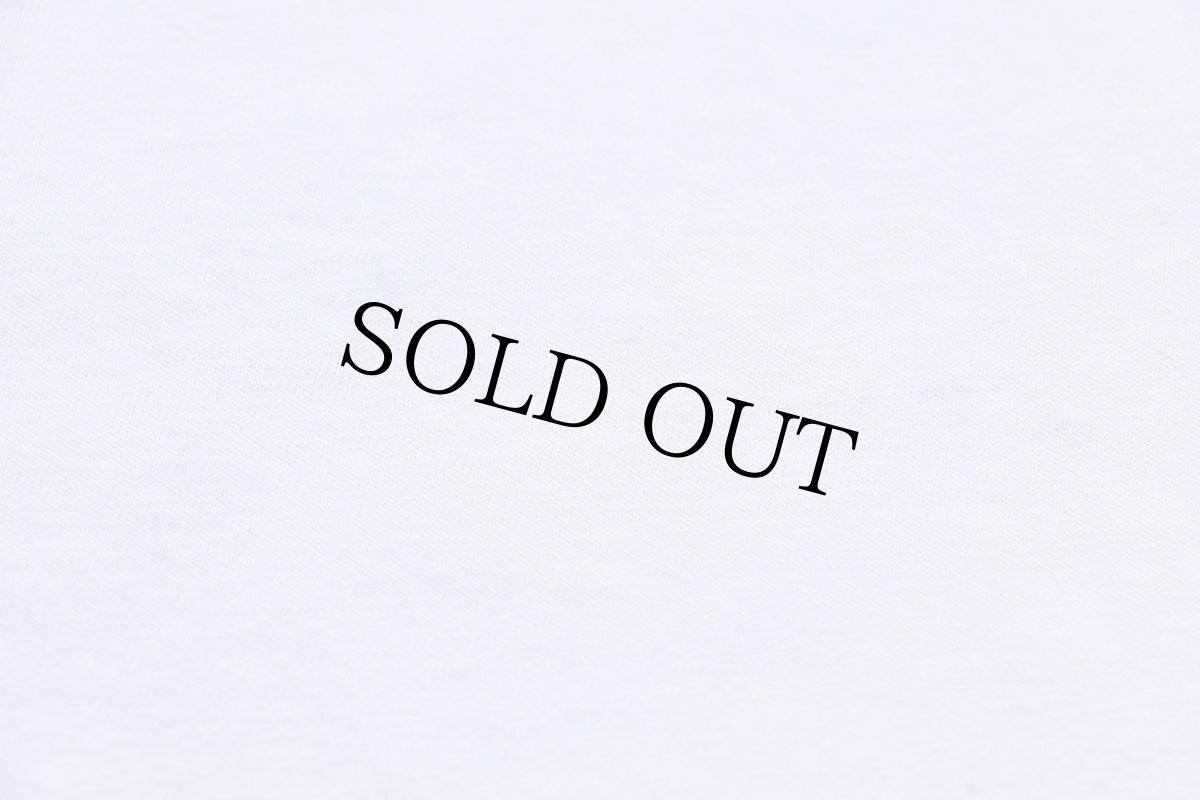 画像6: 90s CARNIVORE SUMATRAN TIGER SAN DIEGO ZOO WILD ANIMAL PARK アート コットンTシャツ 白 M (6)