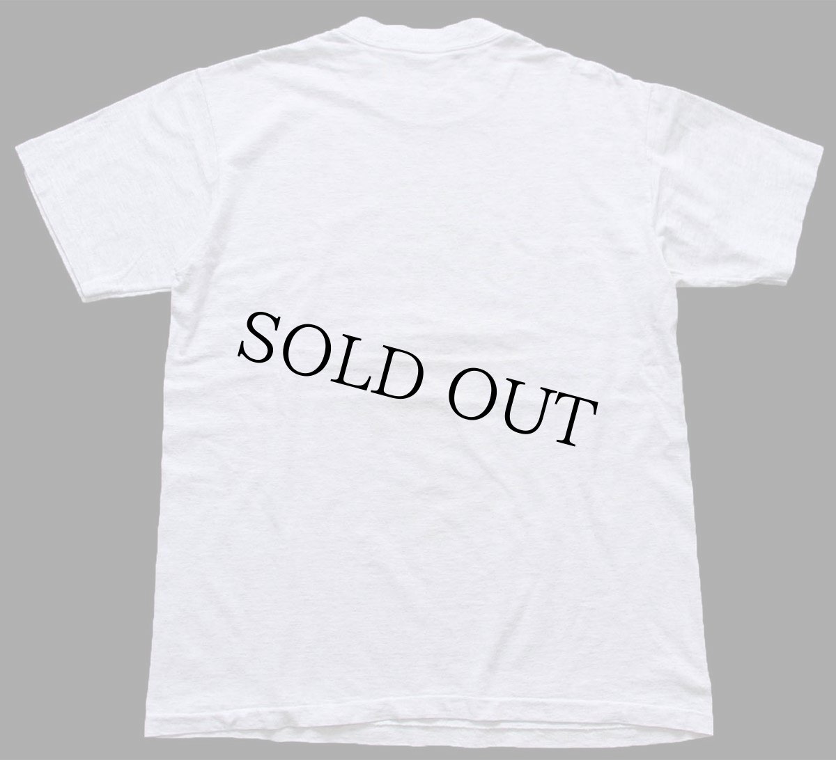 画像3: 90s USA製 VIKING Fall Swimming Classic コットンTシャツ 杢ライトグレー M (3)