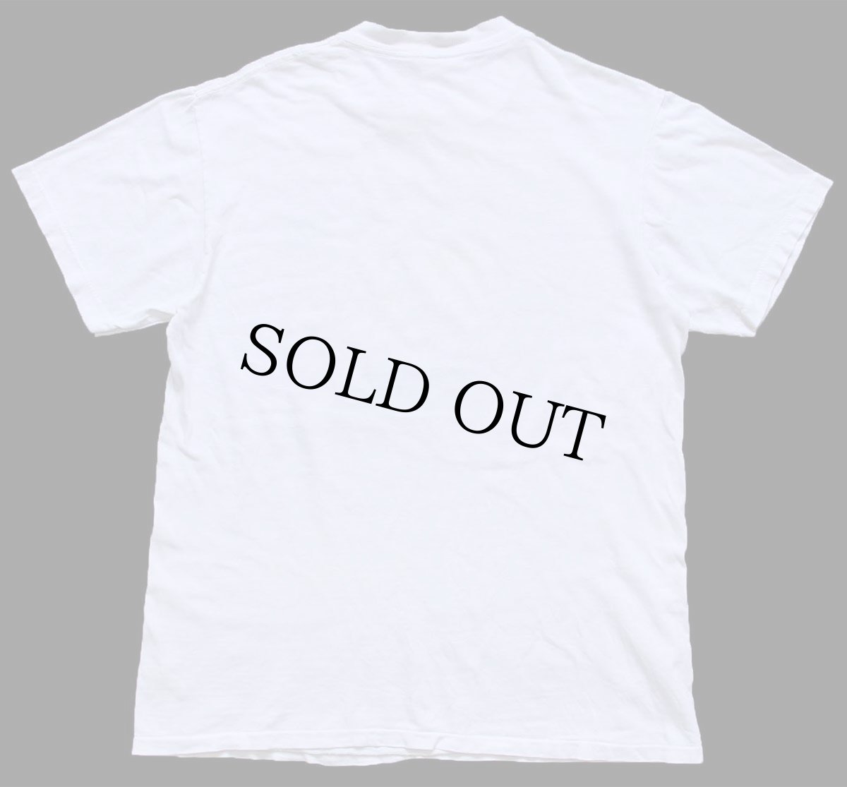 画像3: 90s CARNIVORE SUMATRAN TIGER SAN DIEGO ZOO WILD ANIMAL PARK アート コットンTシャツ 白 M (3)