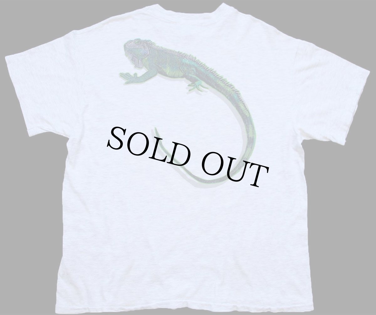 画像3: 90s USA製 Hanes GREEN IS KEEN SAN DIEGO ZOO イグアナ アート 両面プリント コットンTシャツ 杢ライトグレー L (3)