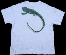 画像3: 90s USA製 Hanes GREEN IS KEEN SAN DIEGO ZOO イグアナ アート 両面プリント コットンTシャツ 杢ライトグレー L (3)