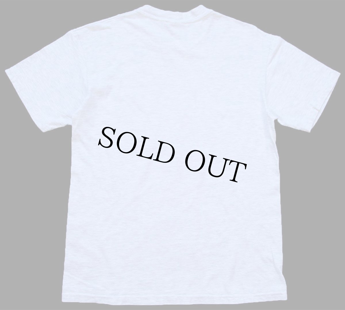 画像3: 90s メキシコ製 Hanes LIONS TIGERS BEARS ライオン タイガー ベア アート コットンTシャツ 杢ライトグレー M (3)