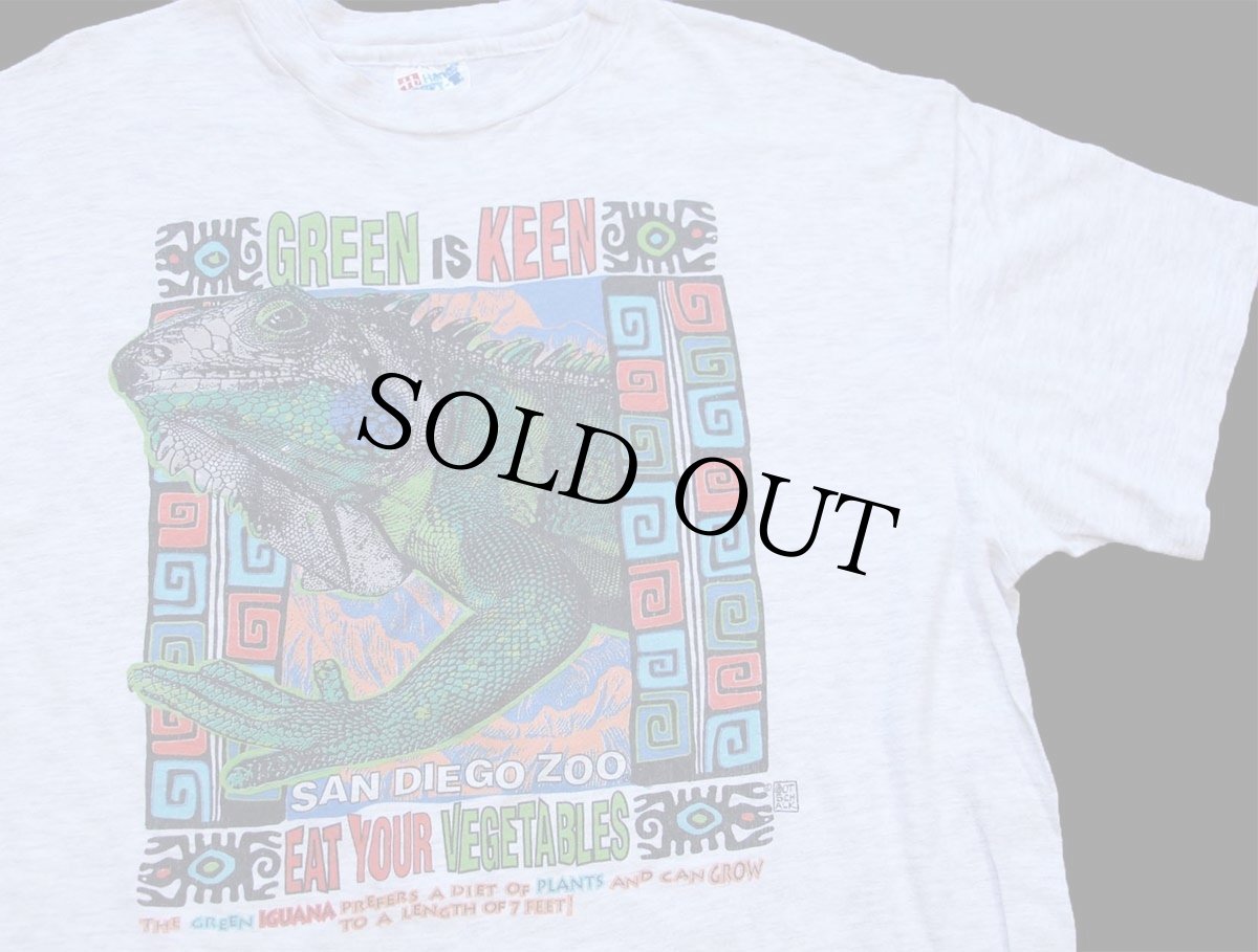 画像1: 90s USA製 Hanes GREEN IS KEEN SAN DIEGO ZOO イグアナ アート 両面プリント コットンTシャツ 杢ライトグレー L (1)