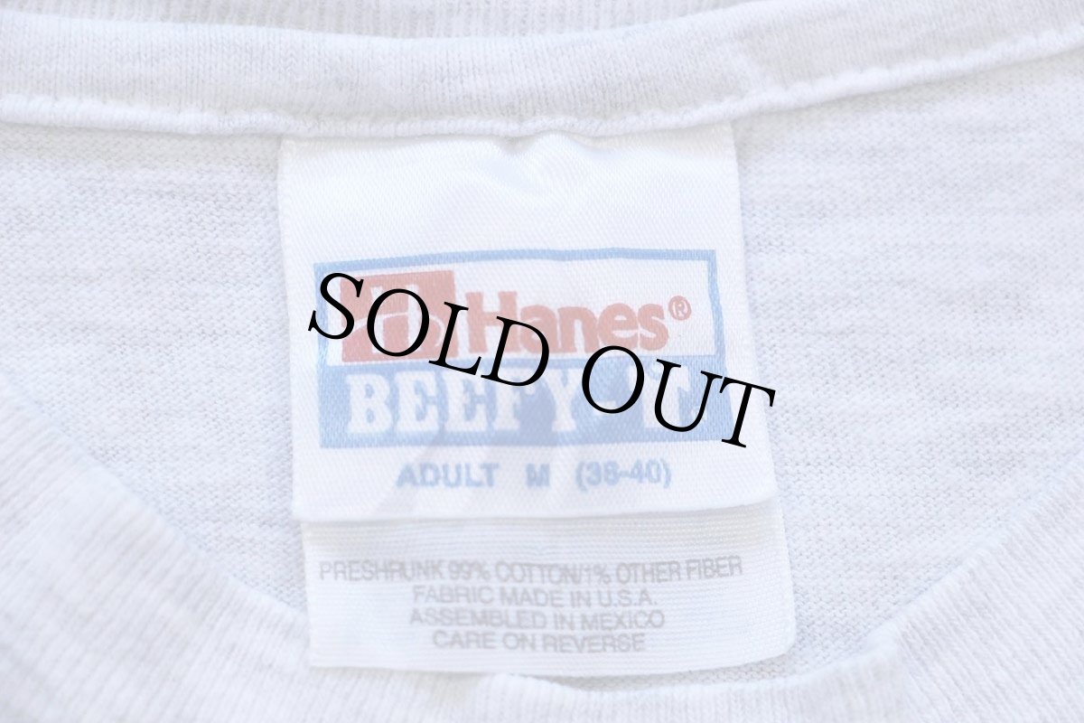 画像4: 90s メキシコ製 Hanes LIONS TIGERS BEARS ライオン タイガー ベア アート コットンTシャツ 杢ライトグレー M (4)