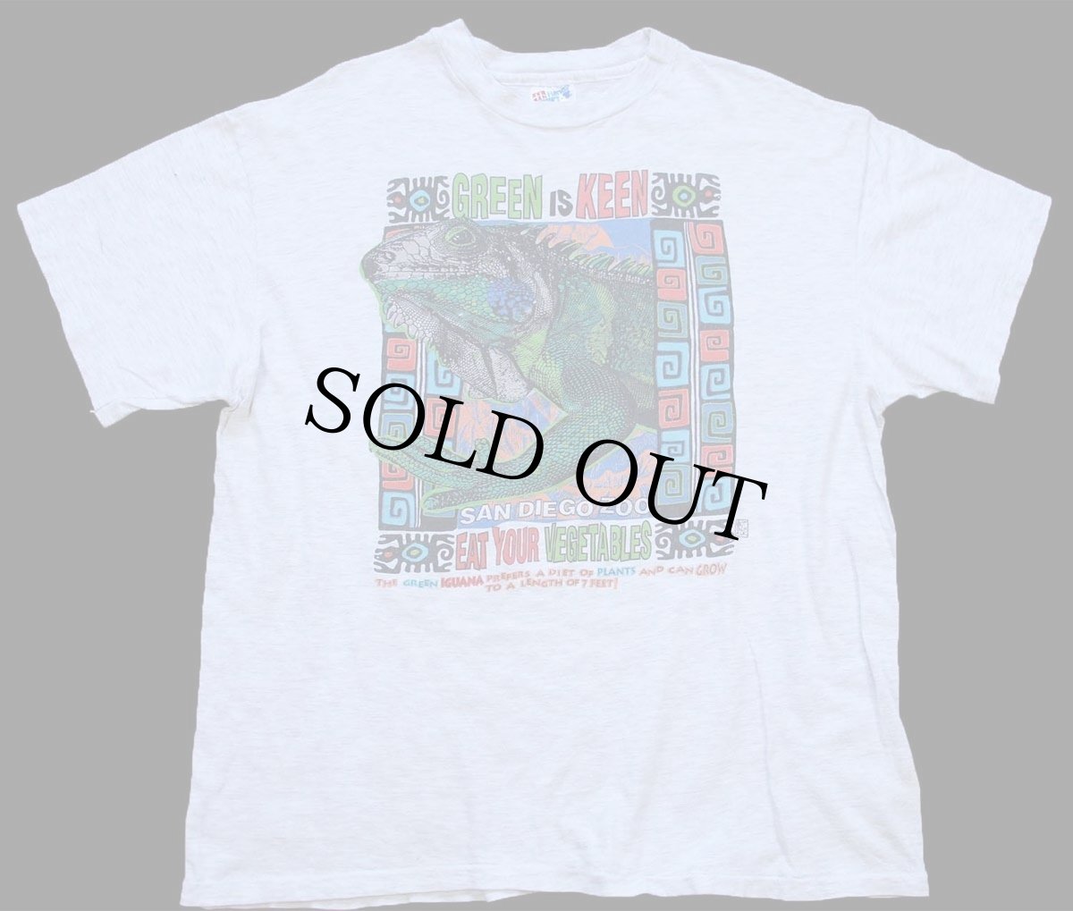 画像2: 90s USA製 Hanes GREEN IS KEEN SAN DIEGO ZOO イグアナ アート 両面プリント コットンTシャツ 杢ライトグレー L (2)