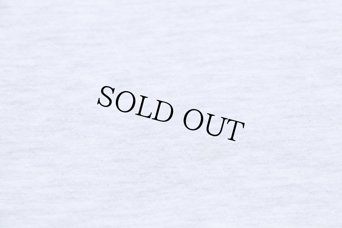 画像6: 90s メキシコ製 Hanes LIONS TIGERS BEARS ライオン タイガー ベア アート コットンTシャツ 杢ライトグレー M (6)