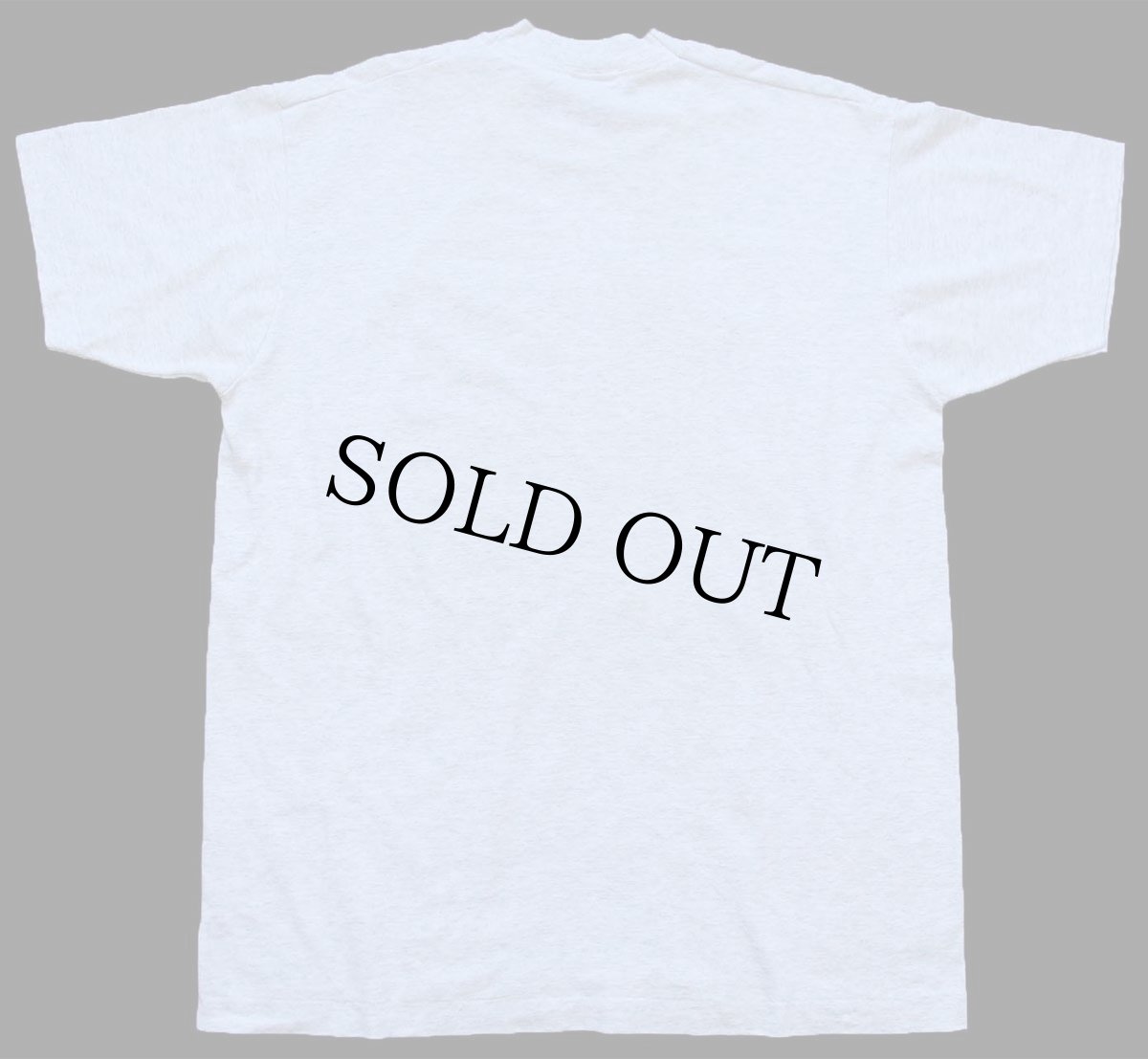 画像3: 90s USA製 Newfoundland Dog ニューファンドランド ドッグ アート Tシャツ 杢ライトグレー L (3)