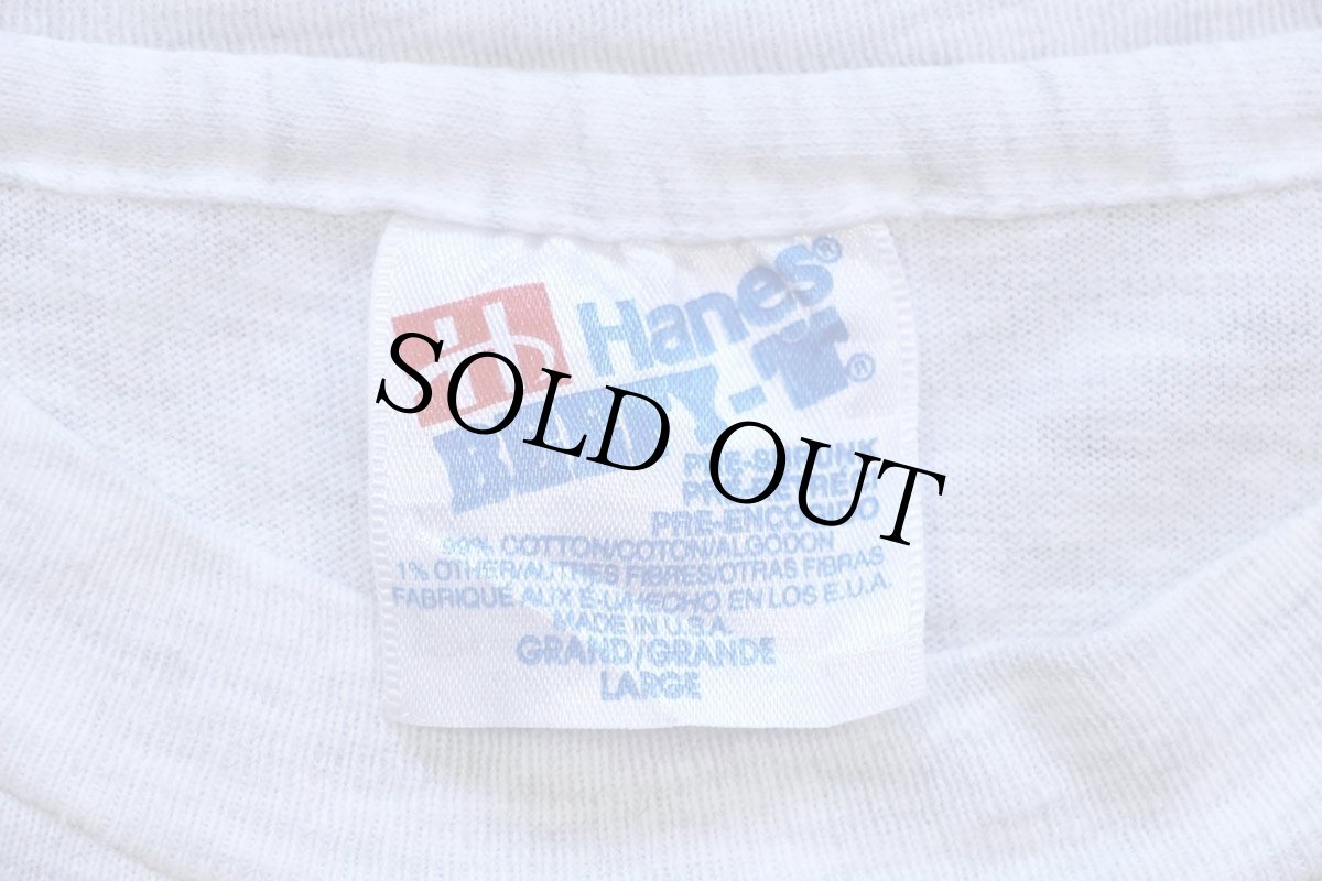 画像4: 90s USA製 Hanes GREEN IS KEEN SAN DIEGO ZOO イグアナ アート 両面プリント コットンTシャツ 杢ライトグレー L (4)