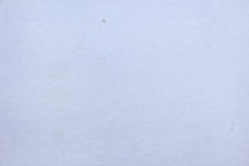 画像6: 90s USA製 Cass Scenic Railroad State Park 蒸気機関車 Tシャツ 白 XXXL★特大 (6)