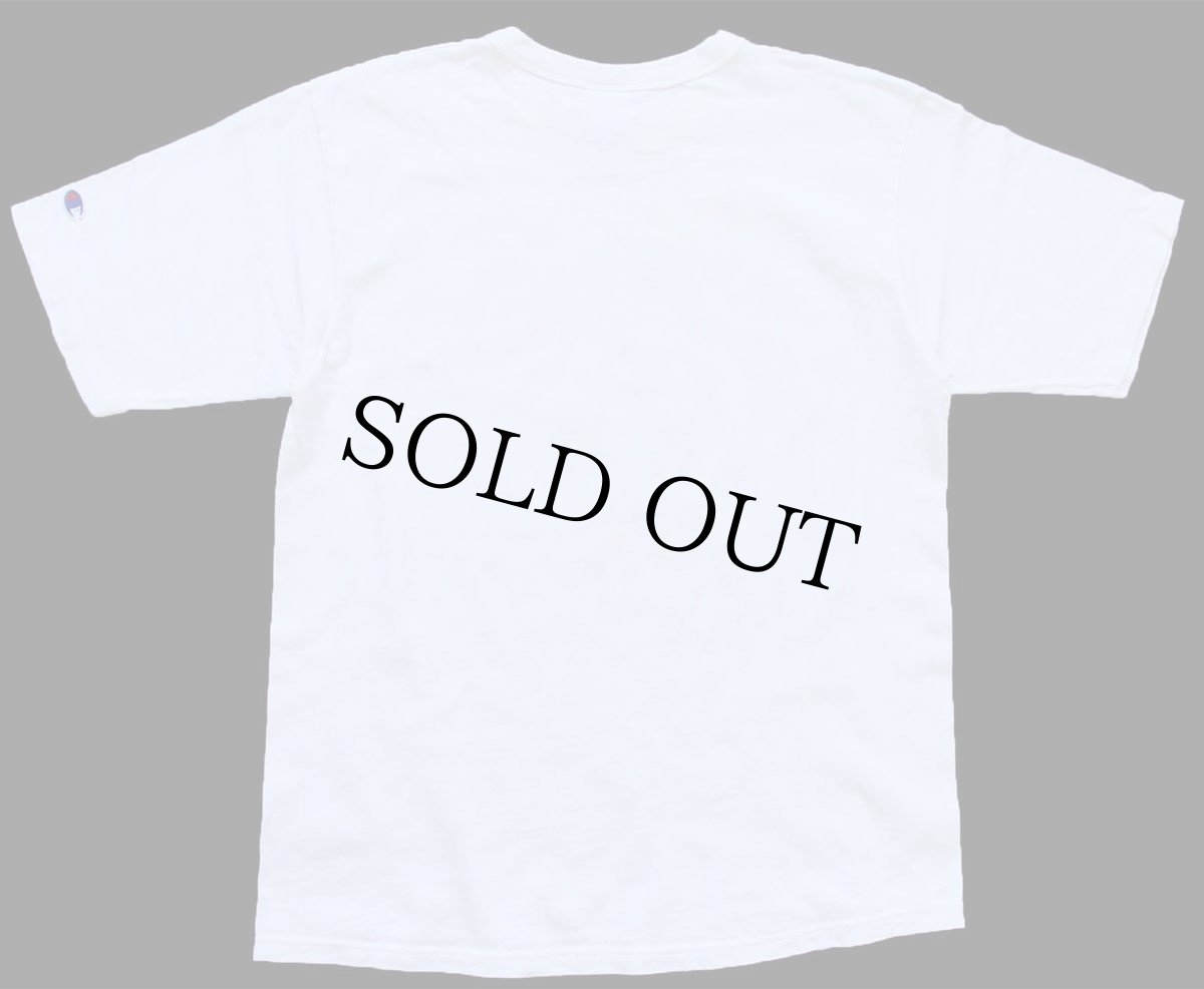 画像3: 90s Championチャンピオン UNIVERSITY TENNESSEE 三段 コットンTシャツ 白 M (3)