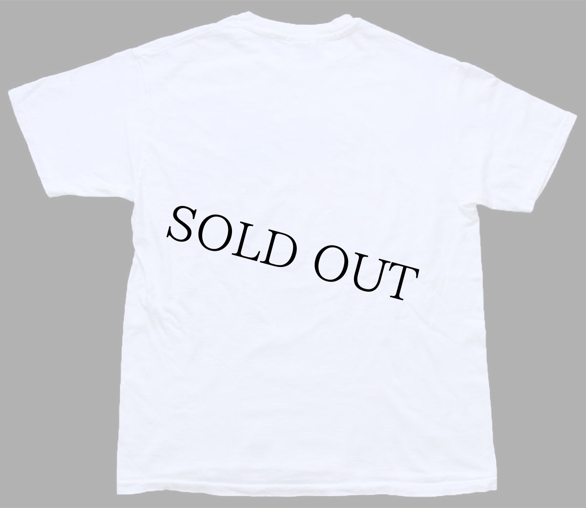 画像3: 90s Hanes Ford Racing フォード ロゴ コットンTシャツ 白 L (3)