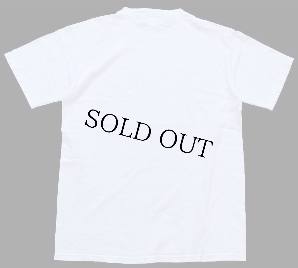 画像3: 00s JANSPORTジャンスポーツ AIR FORCE ACADEMY AFA マスコット コットンTシャツ 白 M (3)