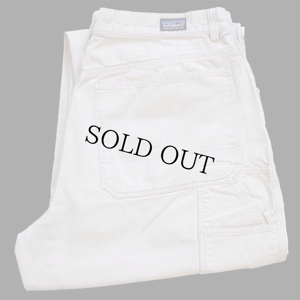 画像1: 00s patagoniaパタゴニア コットン キャンバス ペインターパンツ ベージュ 38 (1)