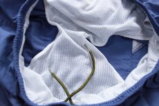 画像5: 00s patagoniaパタゴニア BAGGIES SHORTS ナイロン バギーズショーツ RAI ブルー XL★ショートパンツ (5)