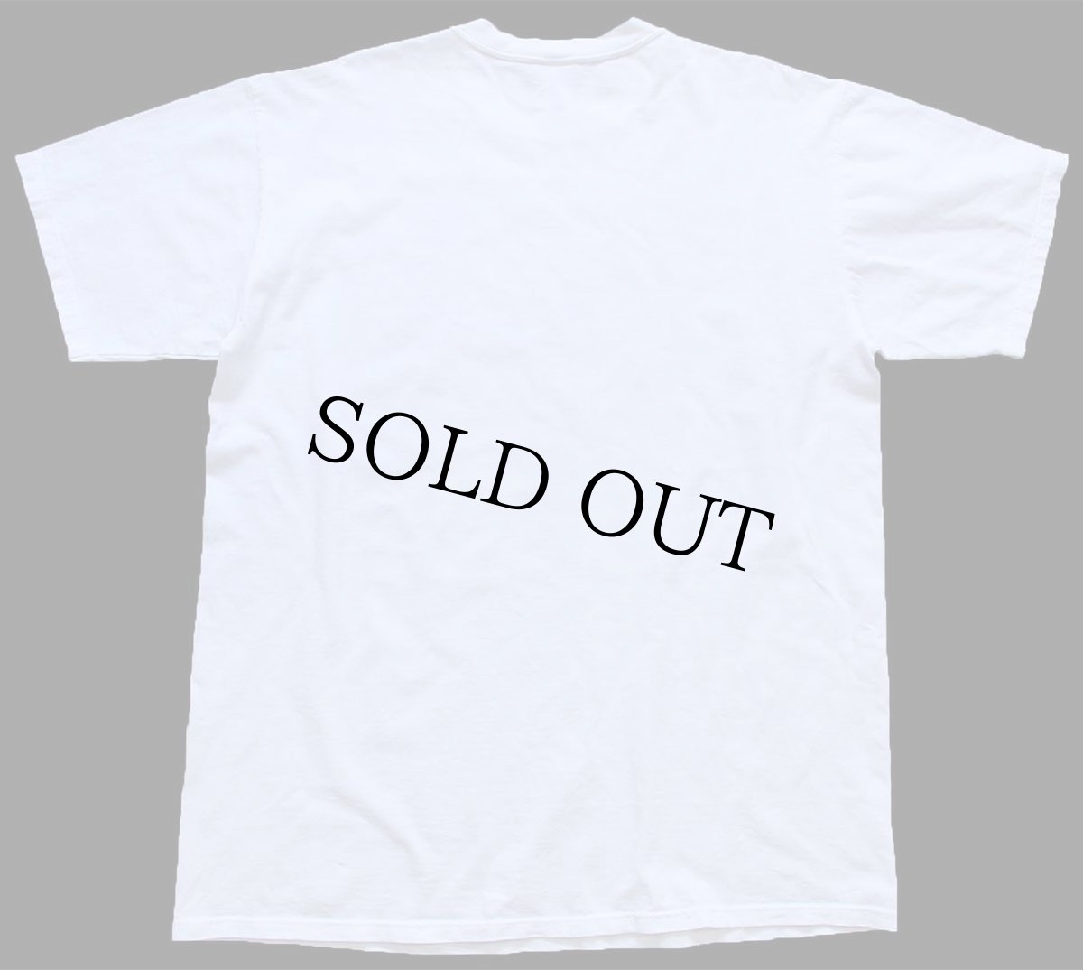 画像3: 90s USA製 RUSSELLラッセル POLAR BEAR CAPITAL OF THE WORLD シロクマ アート コットンTシャツ 白 XL (3)
