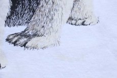 画像4: 90s USA製 RUSSELLラッセル POLAR BEAR CAPITAL OF THE WORLD シロクマ アート コットンTシャツ 白 XL (4)