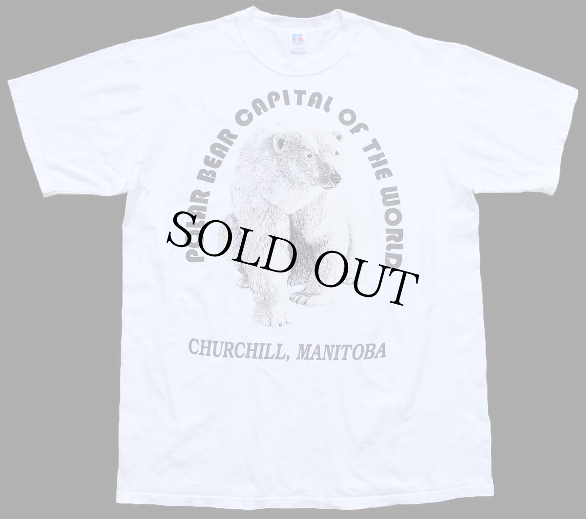 画像2: 90s USA製 RUSSELLラッセル POLAR BEAR CAPITAL OF THE WORLD シロクマ アート コットンTシャツ 白 XL (2)