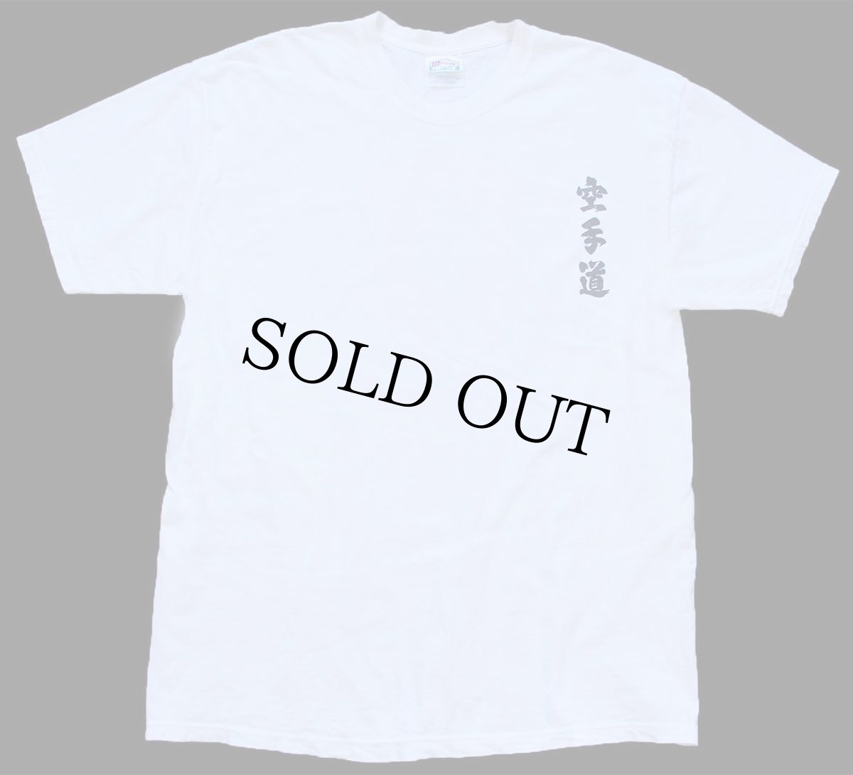 画像2: 00s Hanes KARATE 空手道 両面プリント コットンTシャツ 白 L (2)
