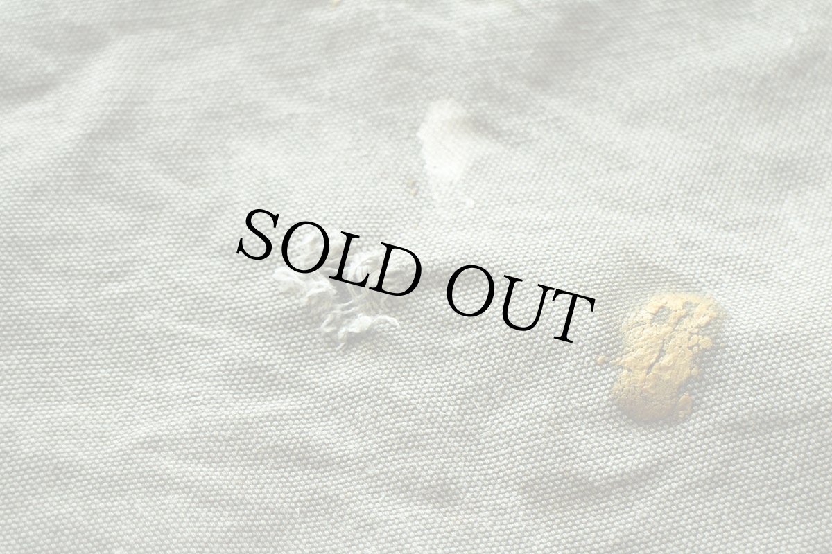 画像8: 00s メキシコ製 carharttカーハート ペンキ飛び&ダメージ ダック地 ペインターパンツ ボロ モスグリーン フェード W36 L32 (8)