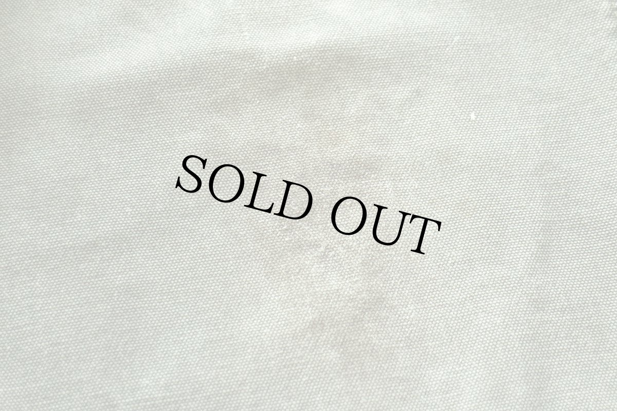 画像7: 00s メキシコ製 carharttカーハート ペンキ飛び&ダメージ ダック地 ペインターパンツ ボロ モスグリーン フェード W36 L32 (7)