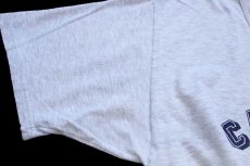 画像6: 90s USA製 Championチャンピオン CARLETON 四段 ひび割れプリント Tシャツ 杢ライトグレー XL (6)