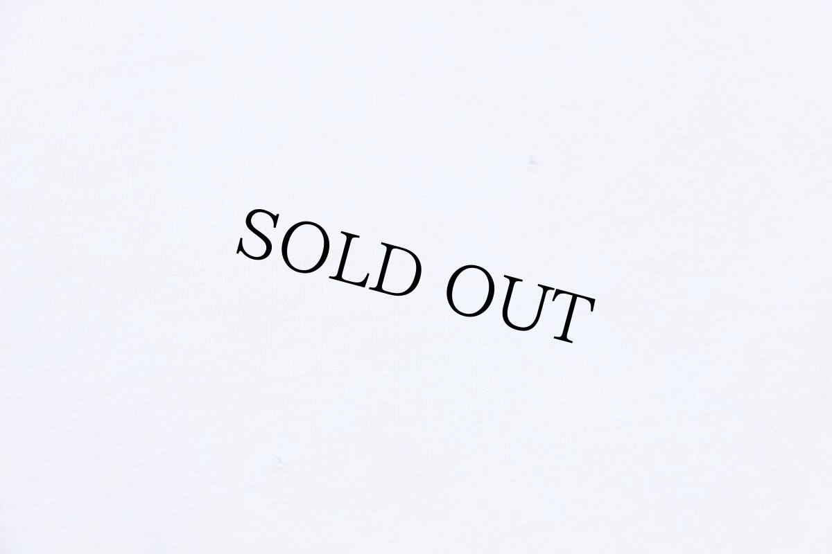 画像5: APT 15 USAFA コットン リンガーTシャツ 白×紺 (5)