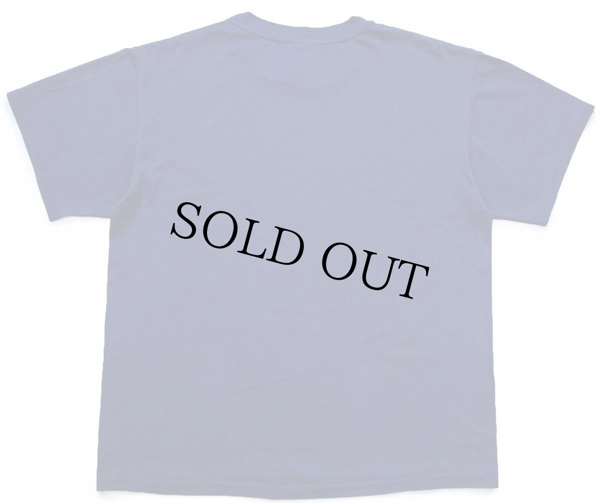 画像3: 00s Hanes Levi'sリーバイス ツーホース ロゴ ひび割れプリント Tシャツ 紺 L (3)