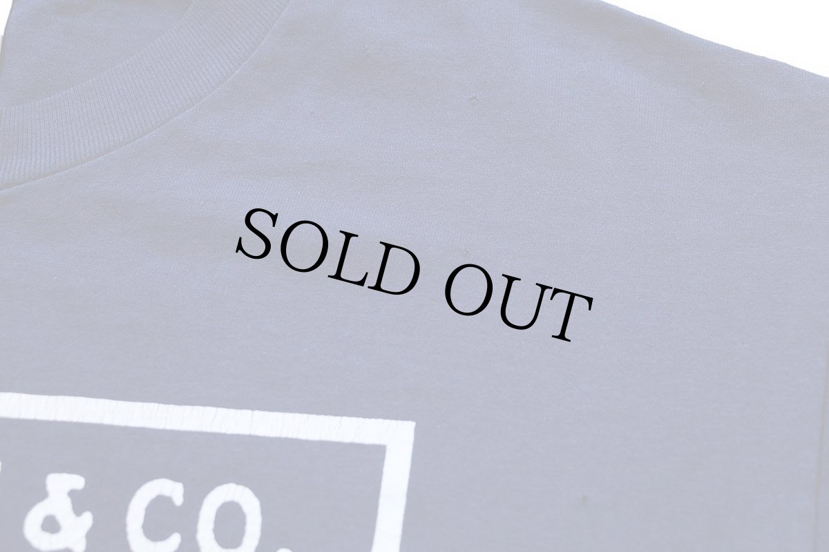 画像6: 00s Hanes Levi'sリーバイス ツーホース ロゴ ひび割れプリント Tシャツ 紺 L (6)