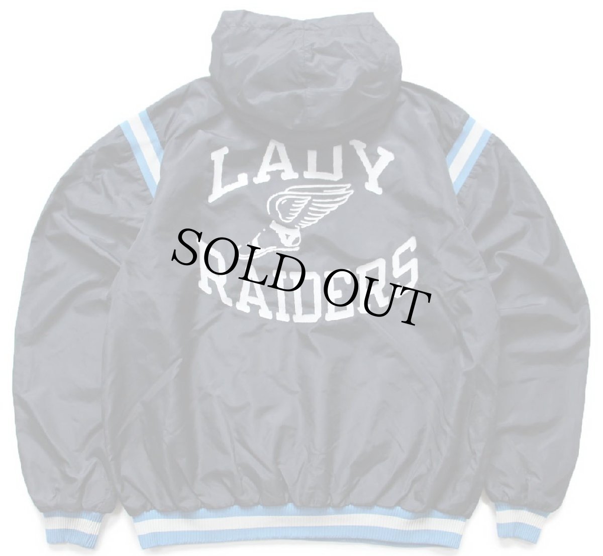 画像1: 90s USA製 Championチャンピオン LADY RAIDERS ウイングフット バックプリント ハーフジップ プルオーバー ナイロンパーカー 黒 XL (1)