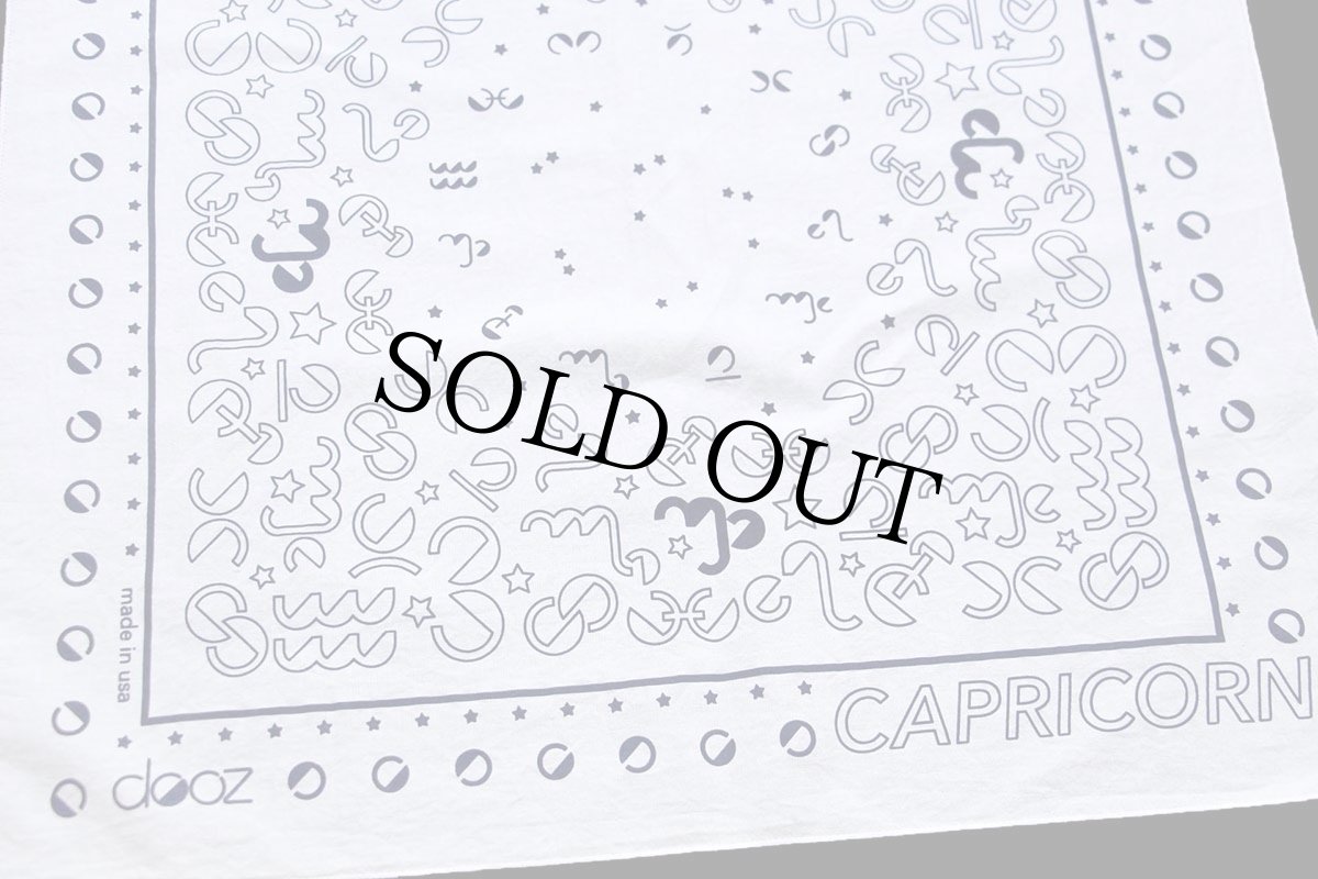 画像2: 90s USA製 CAPRICORN コットン バンダナ 白 (2)