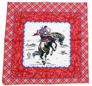 90s USA製 patagoniaパタゴニア レトロX フリースベスト