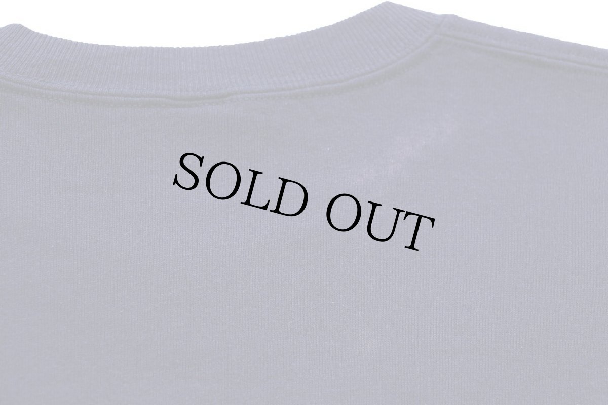 画像6: 90s USA製 RUSSELLラッセル WEST VIRGINIA MOUNTAINEERS ペンキ飛び 前V スウェット 紺 L (6)